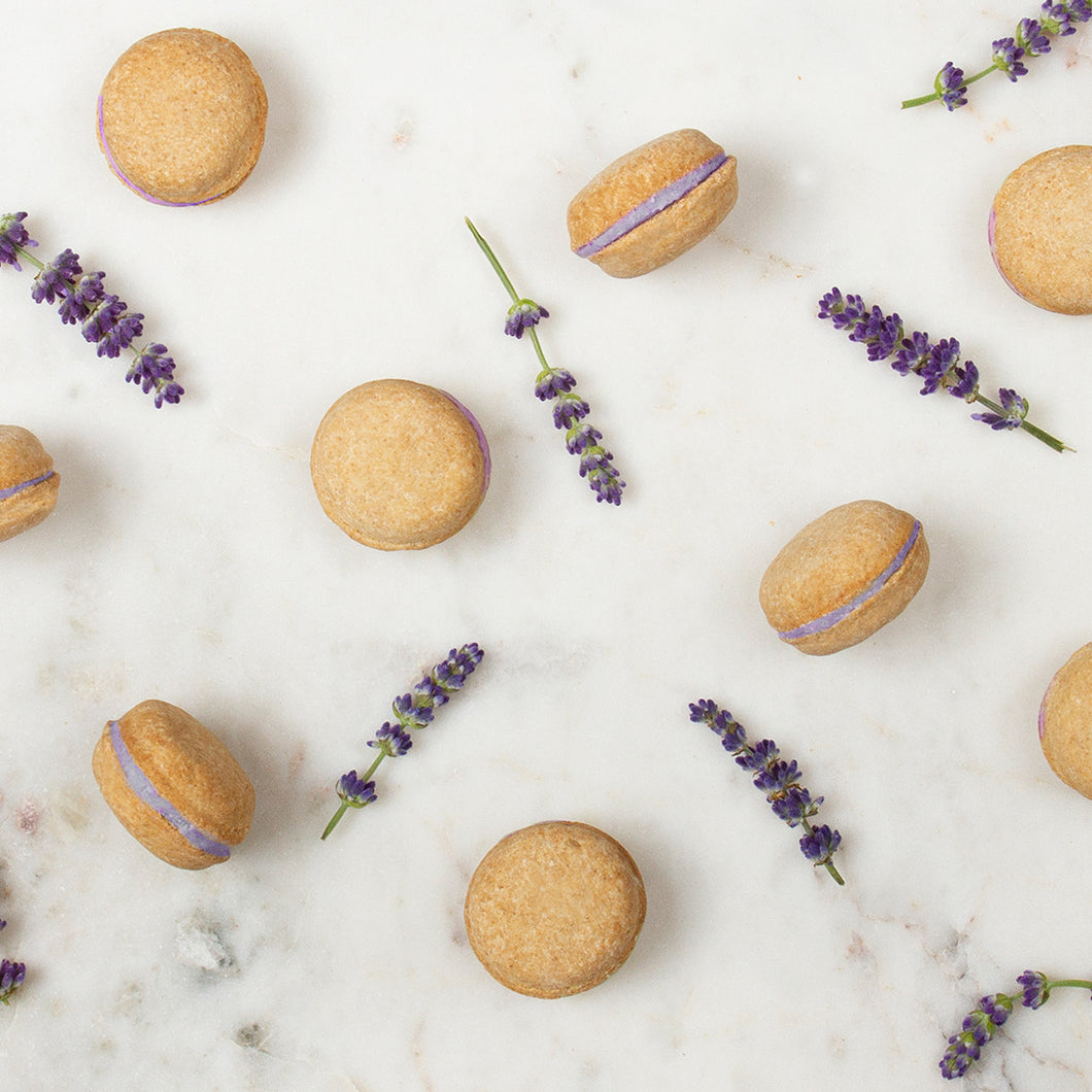 Lavender Macarons