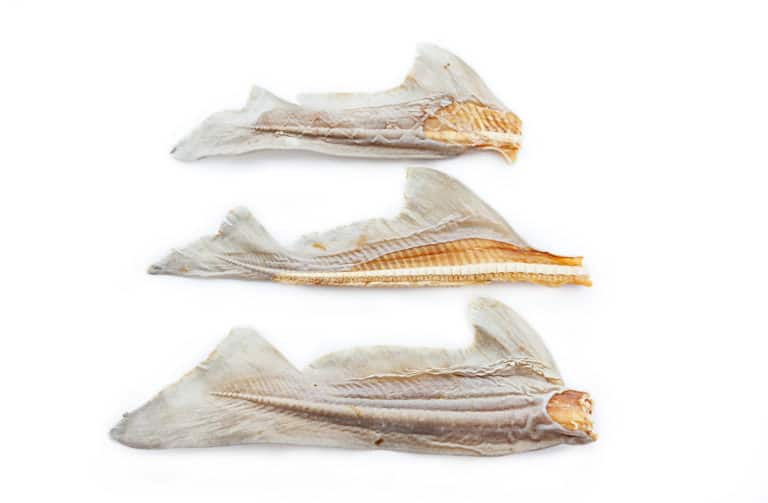 Sea Tail Chews